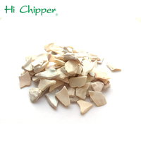 //irrorwxhkkpplq5m-static.micyjz.com/cloud/pjBpkKrnljSRmlmmllqpim/news_main_image_Crushed-Sea-Shell.jpg